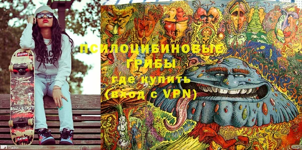 mdpv Краснослободск