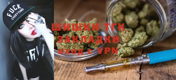 mdpv Краснослободск