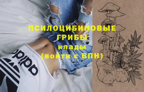 mdpv Краснослободск
