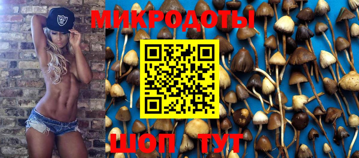 Галлюциногенные грибы мицелий Йошкар-Ола