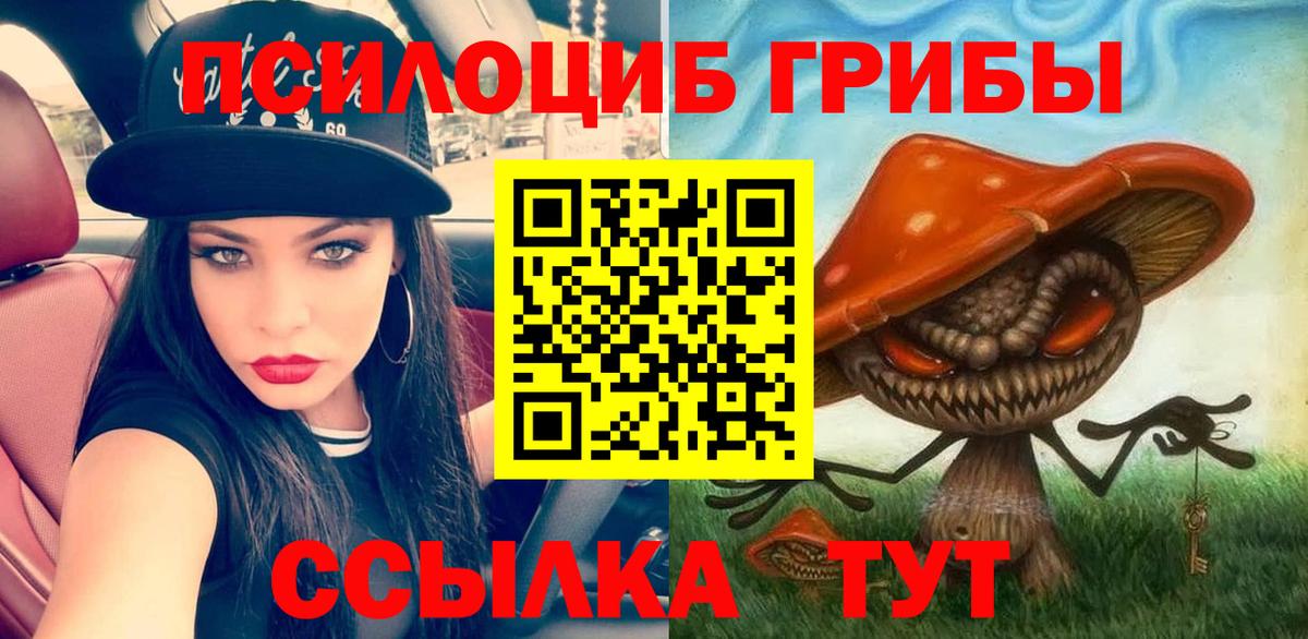 Йошкар-Ола  Псилоцибиновые грибы MAGIC MUSHROOMS  Вход с VPN  Псилоцибиновые грибы Cubensis 
